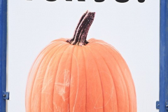JOO_6468_wm_resize